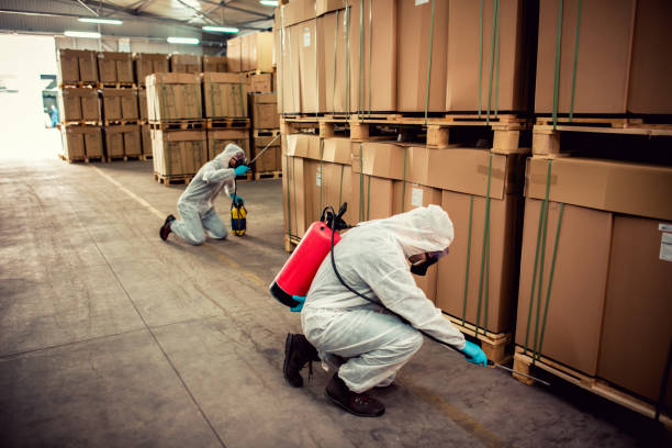 Best Termite Control Services  in Riverdale Park, MD