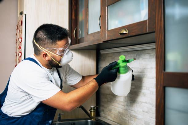 Best Flea Control Services  in Riverdale Park, MD
