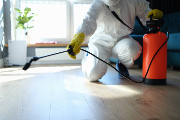 Best Flea Control Services  in Riverdale Park, MD