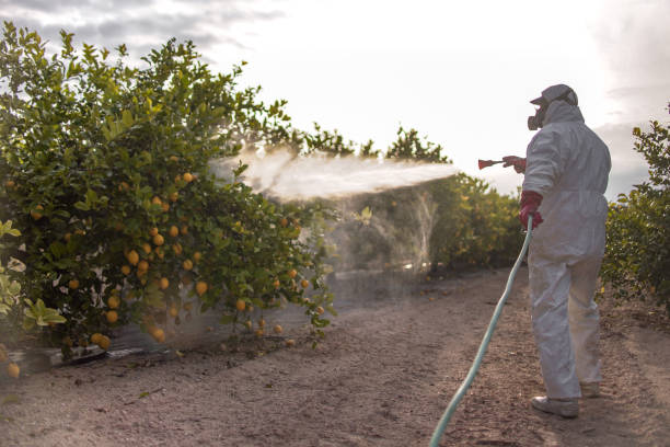 Best Pest Inspection Near Me  in Riverdale Park, MD
