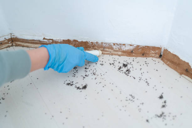 Best Residential Pest Control  in Riverdale Park, MD